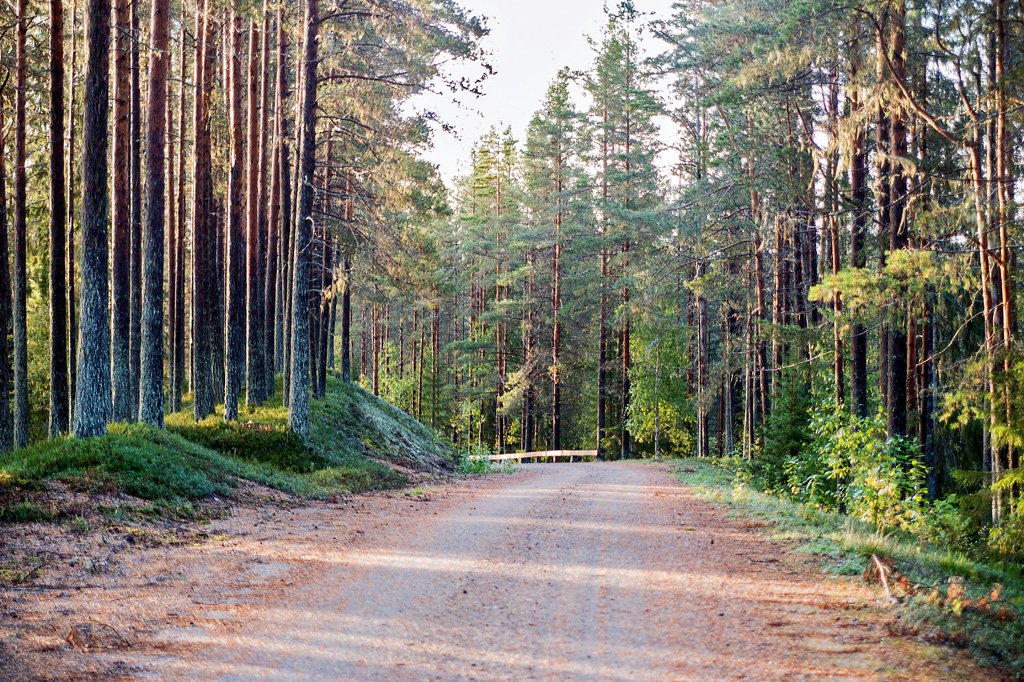 Långvattnets naturreservat